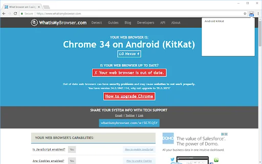 User-Agent Switcher para sa Chrome – Baguhin ang Browser User-Agent - Screenshot 2